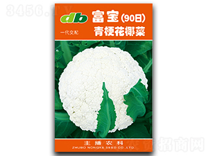 ����90��-��Ҭ�˷N��-�Ƞ�