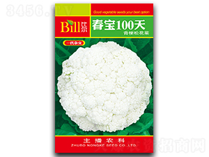 ����100��-��Ҭ�˷N��-�Ƞ�