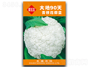 ���90��-��Ҭ�˷N��-�Ƞ�