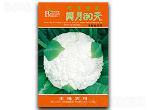 �}��80��-��Ҭ�˷N��-�Ƞ�