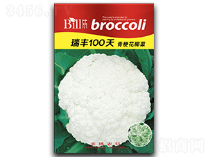 ���S100��-��Ҭ�˷N��-�Ƞ�