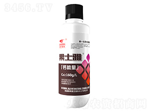 �}����-��ʿ��-(li��n)��μ�