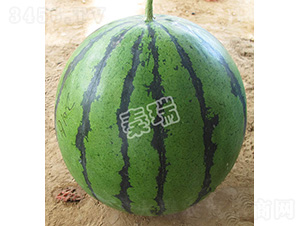 ����863-���ϷN��-����