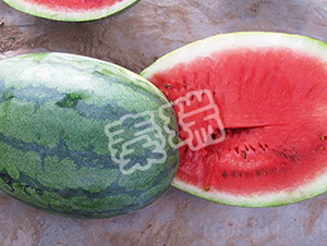 �������L(f��ng)-���ϷN��-����