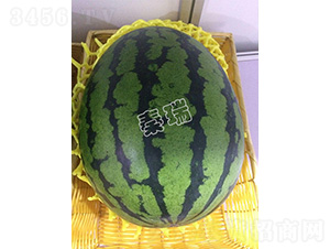 ��������2̖(h��o)-���ϷN��-����