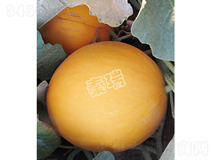 ���o(j��)�t��-��ϷN��-����