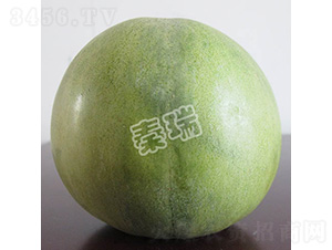 ��������-��ϷN��-����