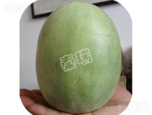 �����̖(h��o)-��ϷN��-����