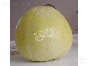 ������̖(h��o)-��ϷN��-����