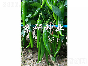 ����316-�����N��-���зN�I(y��)