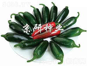 ����104-�����N��-���зN�I(y��)