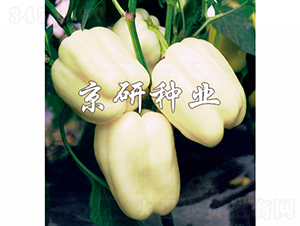 ����2̖-�����N��-���зN�I(y��)