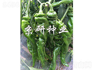 ����3̖-�����N��-���зN�I(y��)