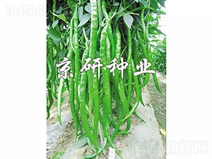 ����2̖-�����N��-���зN�I(y��)