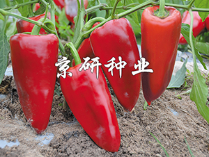 ��������3̖-�����N��-���зN�I(y��)