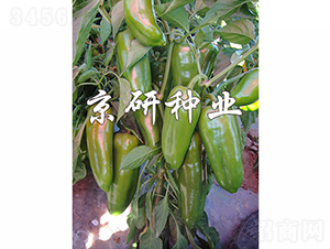 ���T3̖-�����N��-���зN�I(y��)