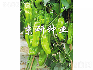 ����165-�����N��-���зN�I(y��)