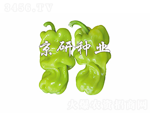 ��Ƥ1̖-�����N��-���зN�I(y��)