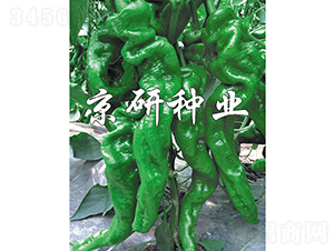 ����105-�����N��-���зN�I(y��)