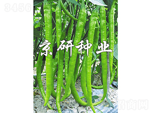 ����147-�����N��-���зN�I(y��)