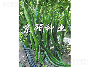 ����158-�����N��-���зN�I(y��)