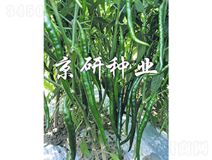 ����2̖-�����N��-���зN�I(y��)