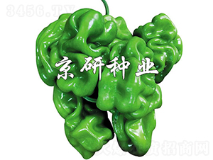 ���а�Ƥ4̖-�����N��-���зN�I(y��)