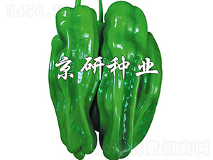 ����2̖-�����N��-���зN�I(y��)