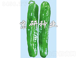 ����3̖-�����N��-���зN�I(y��)