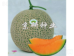 ����4̖(h��o)-��ϷN��-���зN�I(y��)