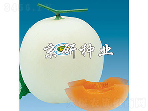 ����2̖(h��o)-��ϷN��-���зN�I(y��)