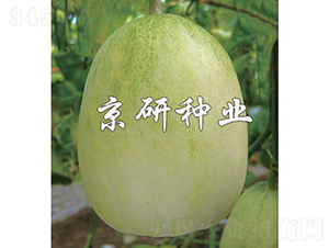 ����10̖(h��o)-��ϷN��-���зN�I(y��)