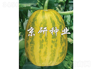 ����30-��ϷN��-���зN�I(y��)