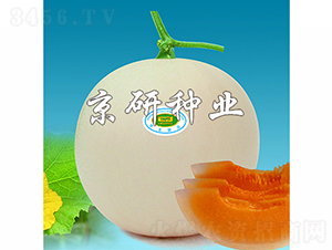 ��������-��ϷN��-���зN�I(y��)