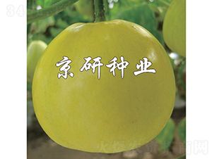 ����415-��ϷN��-���зN�I(y��)