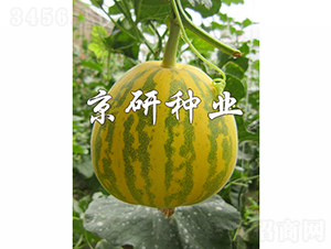 ����826-3-��ϷN��-���зN�I(y��)