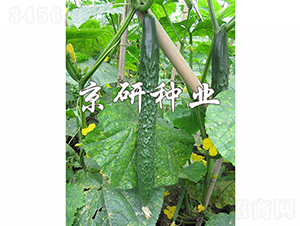 ���д���G3̖(h��o)-�S�ϷN��-���зN�I(y��)