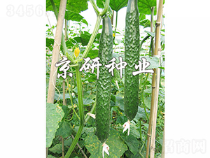 ���д���G2̖(h��o)-�S�ϷN��-���зN�I(y��)