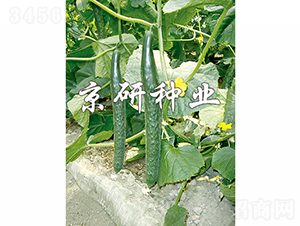 ������401-�S�ϷN��-���зN�I(y��)