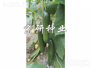 �G���`10̖(h��o)-�S�ϷN��-���зN�I(y��)