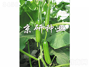 �G���`4̖(h��o)-�S�ϷN��-���зN�I(y��)