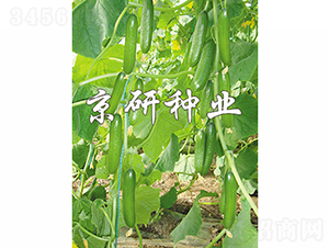 ��������7̖(h��o)-�S�ϷN��-���зN�I(y��)