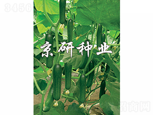 ��������2̖(h��o)-�S�ϷN��-���зN�I(y��)