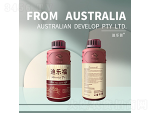 �A���{(di��o)��(ji��)��-�Ϙ���-�Ϙ���