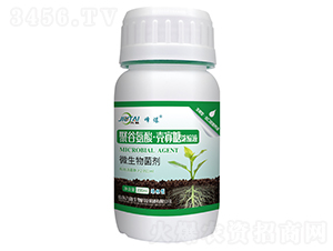 �۹Ȱ��ᡤ�����ǝ�sҺ-�屬-��������