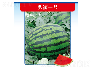 �띙һ̖-���ϷN��-�����N�I(y��)