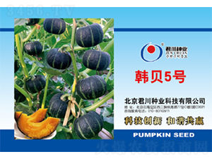 �nؐ5̖(h��o)-�ϹϷN��-�����N�I(y��)