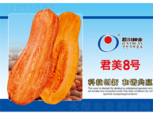 ����8̖(h��o)-�ϹϷN��-�����N�I(y��)