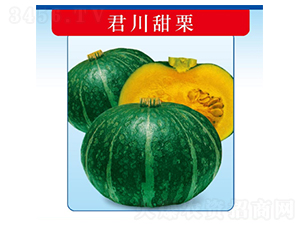 ��������-�ϹϷN��-�����N�I(y��)