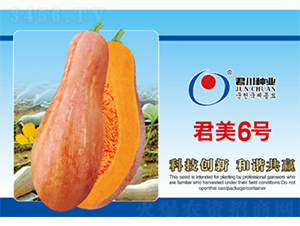 ����6̖(h��o)-�ϹϷN��-�����N�I(y��)